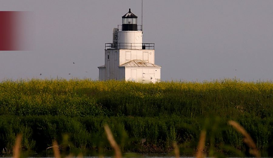 A lighthouse beyond tall lakeshore grass